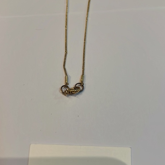 Blue Ruby x Wolf Circus Lariat Gold Necklace New - Picture 3 of 4